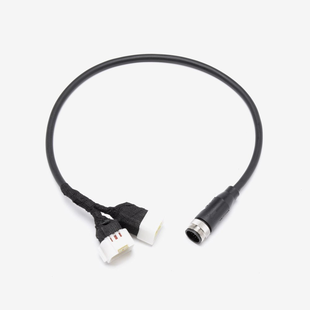 Harness (Talaria)