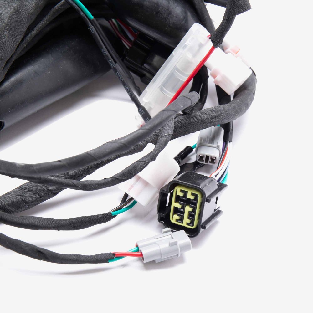 Wiring Loom 2