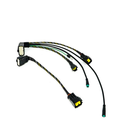 Wiring Loom For ASI Bac Controllers - EVFREAKS