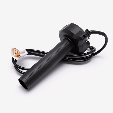 Electronic Throttle Assembly