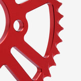 Rear Sprocket 428-44T 5