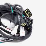 Wiring Loom 4