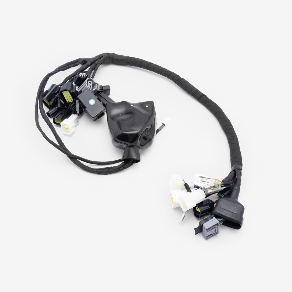 Wiring Loom 2