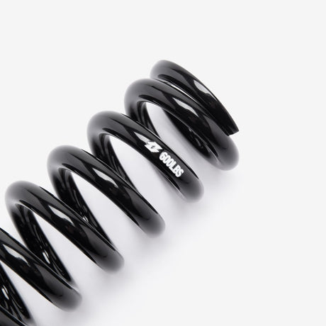 Shock Absorber Spring 2