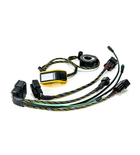 Wiring Loom For ASI Bac Controllers - EVFREAKS